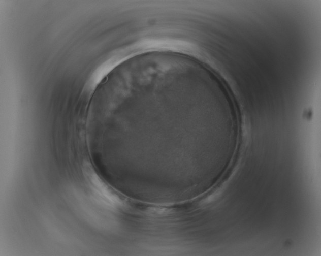 X0000114171529200910151625