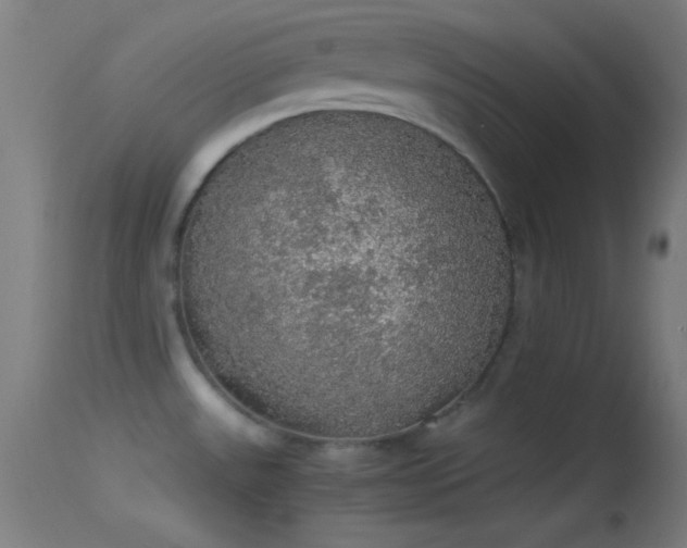 X0000114171531200910151625