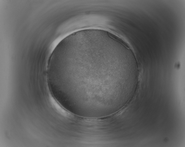 X0000114171532200910151625