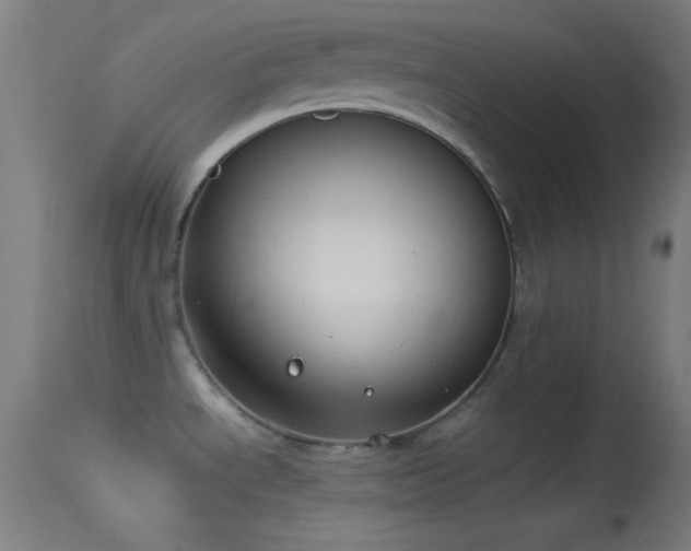 X0000114171534200910151625