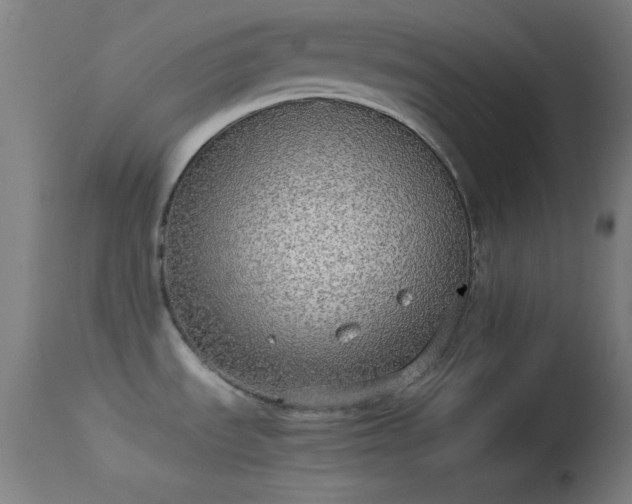 X0000114171535200910151625