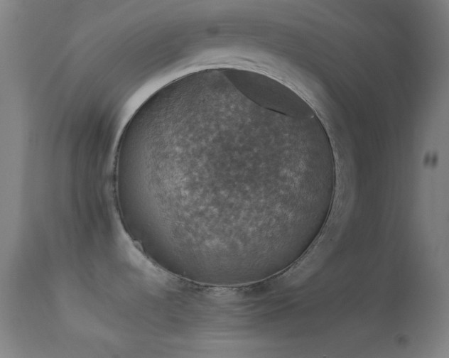X0000114171536200910151625