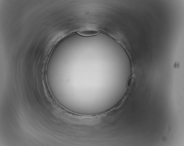 X0000114170001200910221701