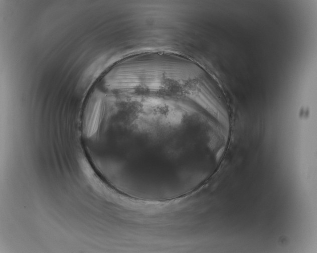 X0000114170002200910221701