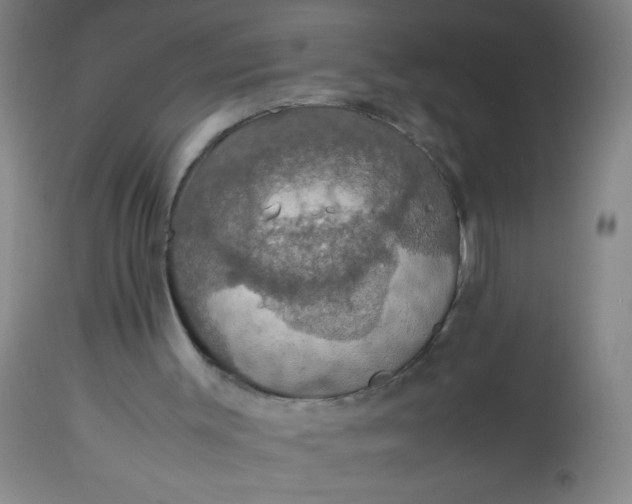 X0000114170003200910221701