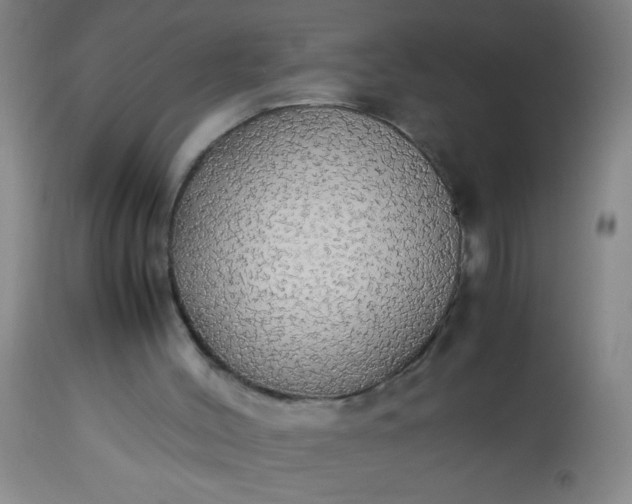 X0000114170004200910221701