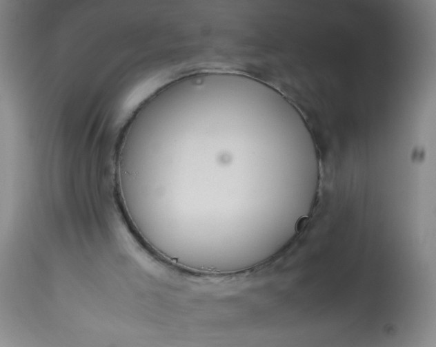 X0000114170005200910221701