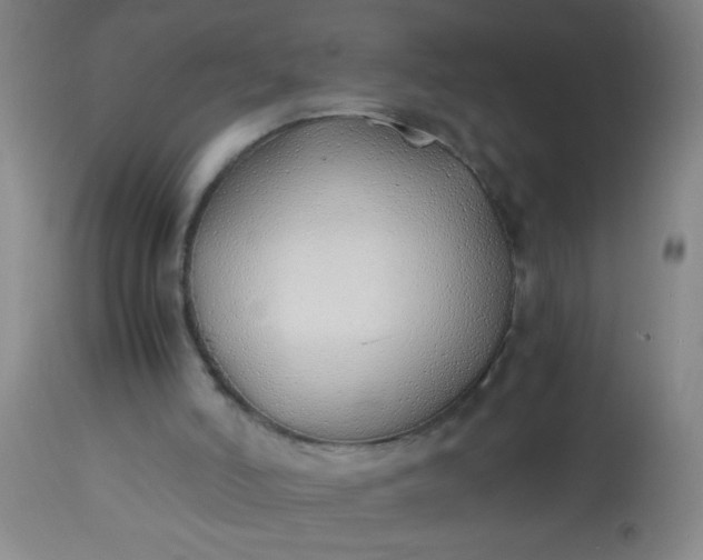 X0000114170006200910221701