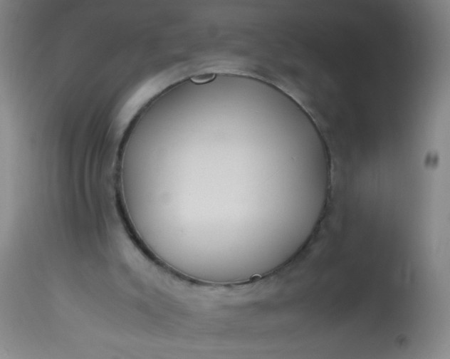 X0000114170007200910221701