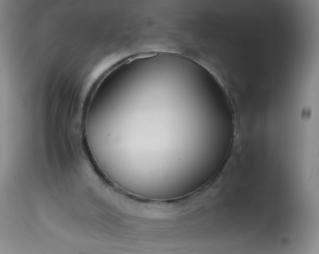 X0000114170008200910221701