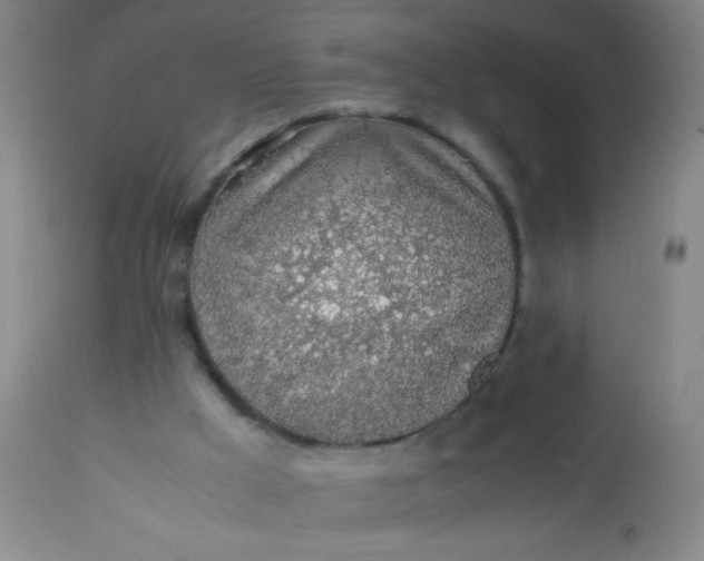 X0000114170009200910221701