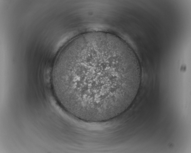 X0000114170010200910221701