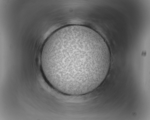 X0000114170011200910221701