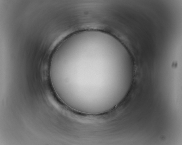 X0000114170012200910221701