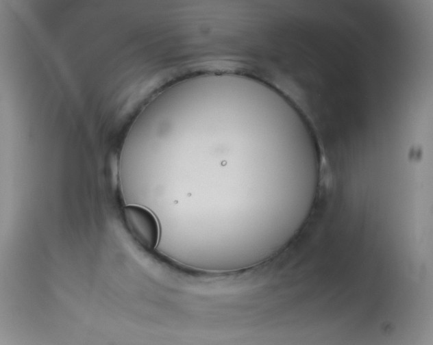 X0000114170013200910221701