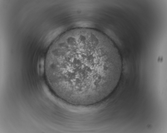 X0000114170014200910221701