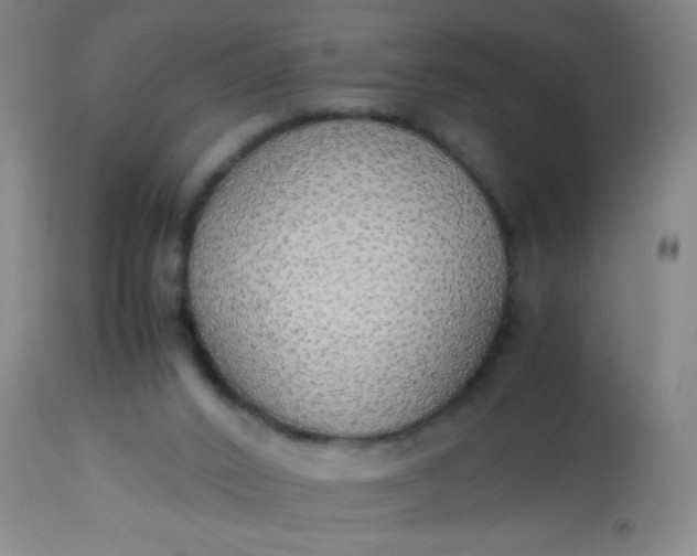 X0000114170016200910221701