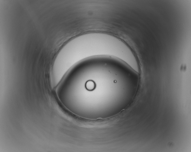 X0000114170017200910221701