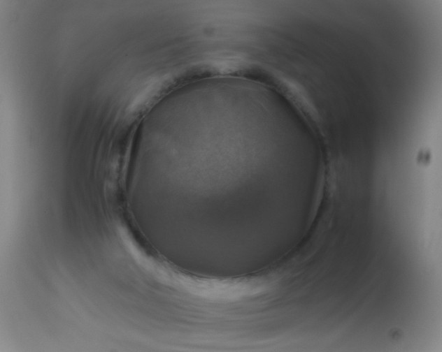 X0000114170018200910221701