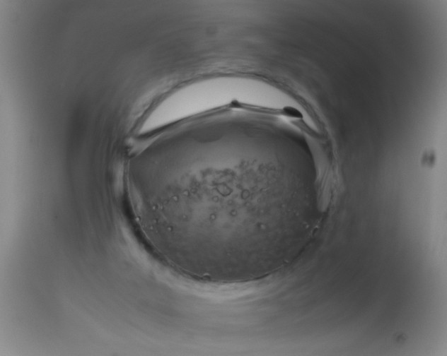 X0000114170019200910221701