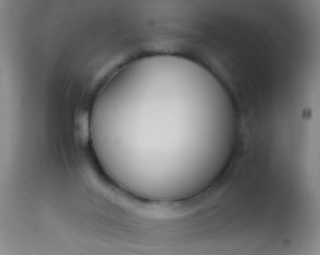 X0000114170020200910221701