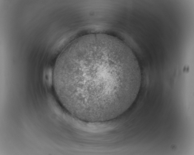 X0000114170022200910221701