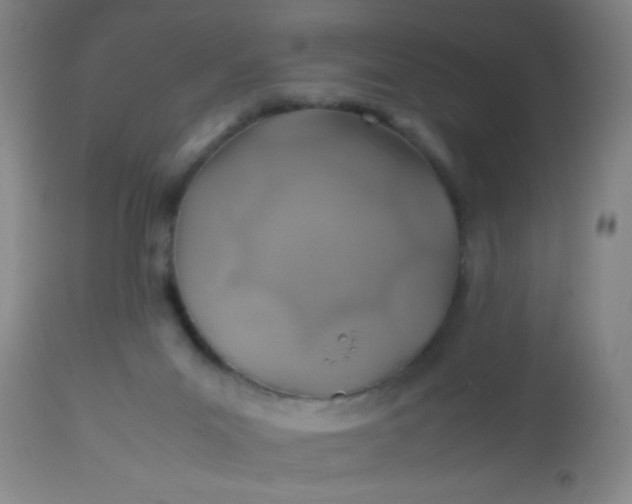 X0000114170023200910221701