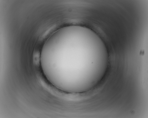 X0000114170024200910221701