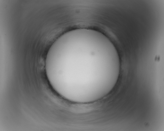 X0000114170025200910221701