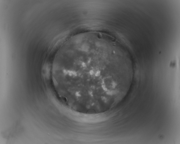 X0000114170026200910221701