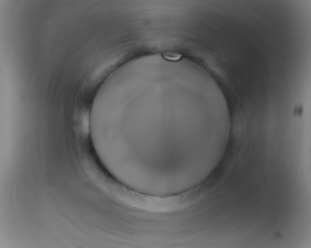 X0000114170027200910221701