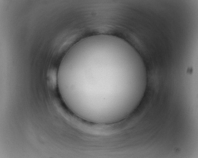 X0000114170028200910221701