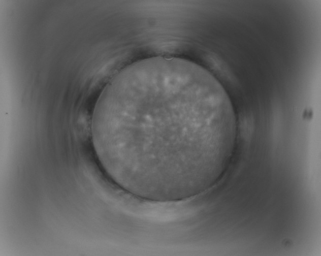 X0000114170029200910221701