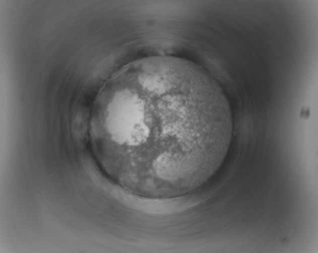 X0000114170030200910221701