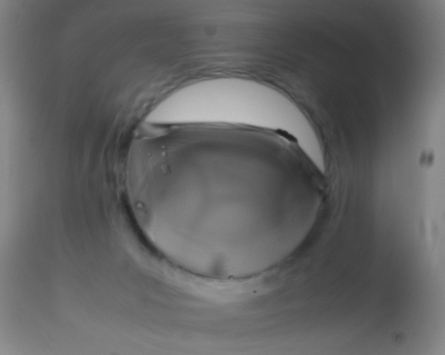 X0000114170031200910221701