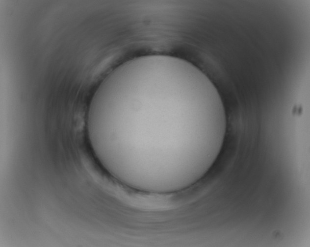 X0000114170032200910221701