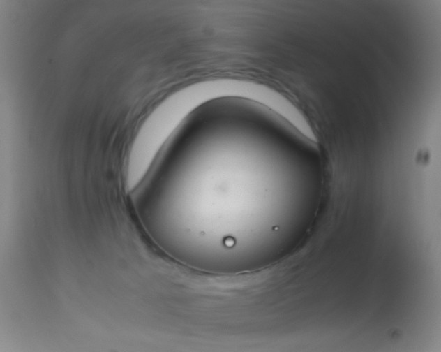 X0000114170033200910221701