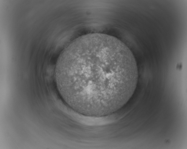 X0000114170034200910221701