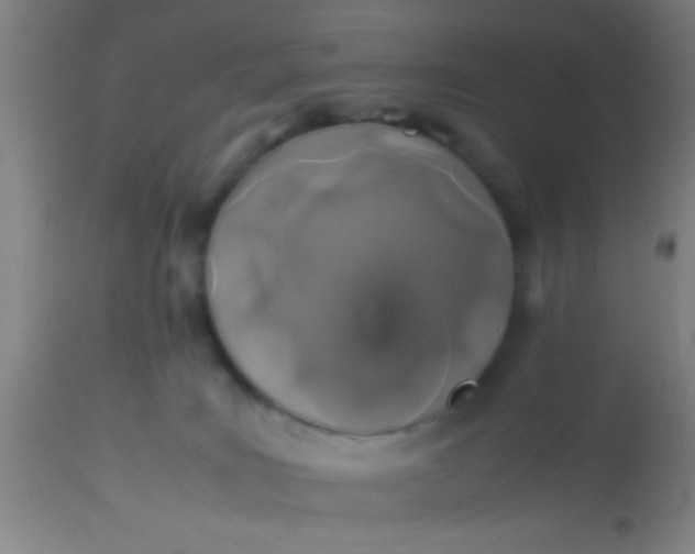 X0000114170035200910221701