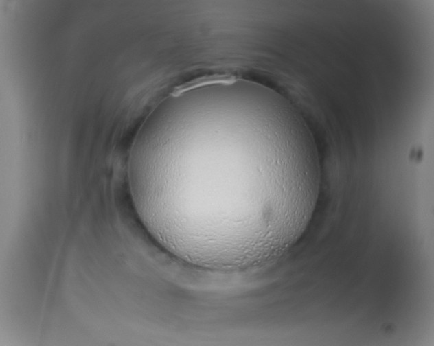 X0000114170037200910221701