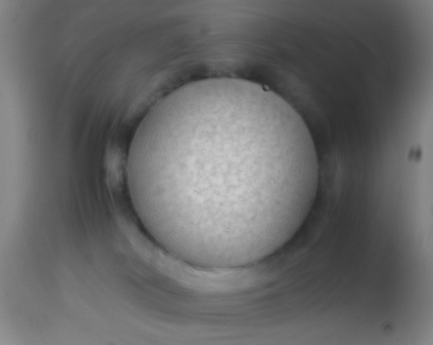 X0000114170038200910221701