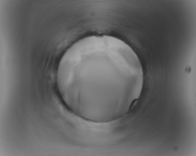 X0000114170039200910221701