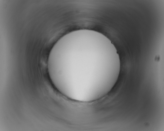 X0000114170040200910221701