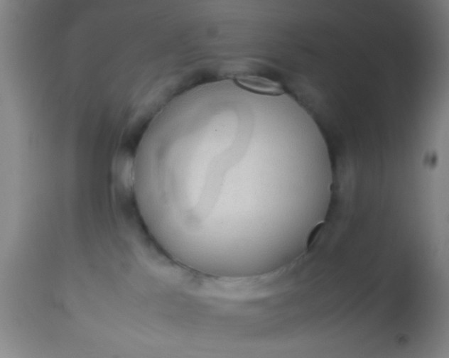 X0000114170041200910221701