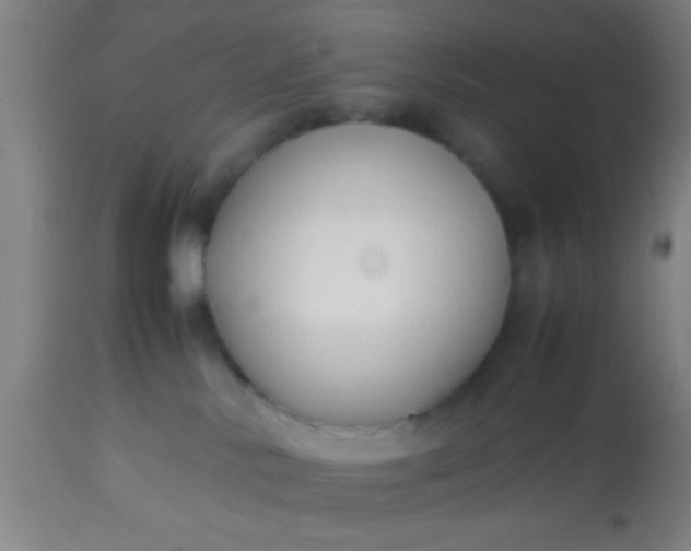 X0000114170042200910221701