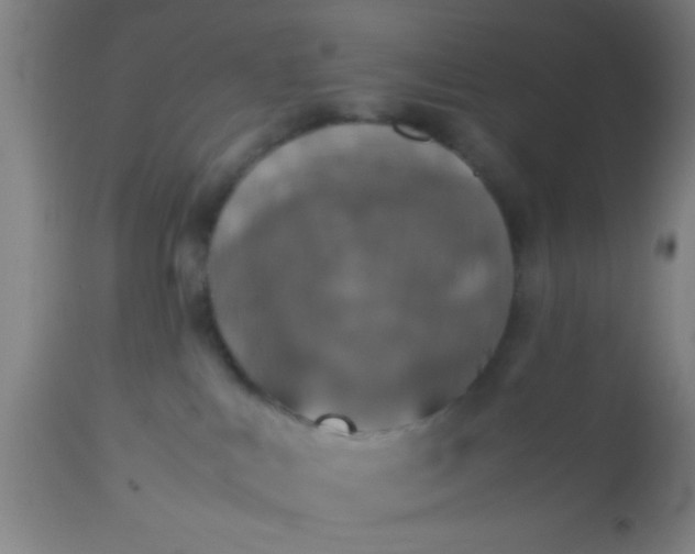 X0000114170043200910221701