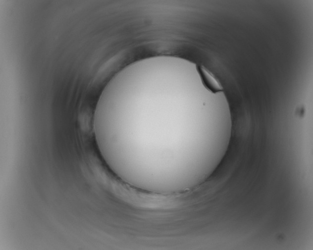 X0000114170044200910221701