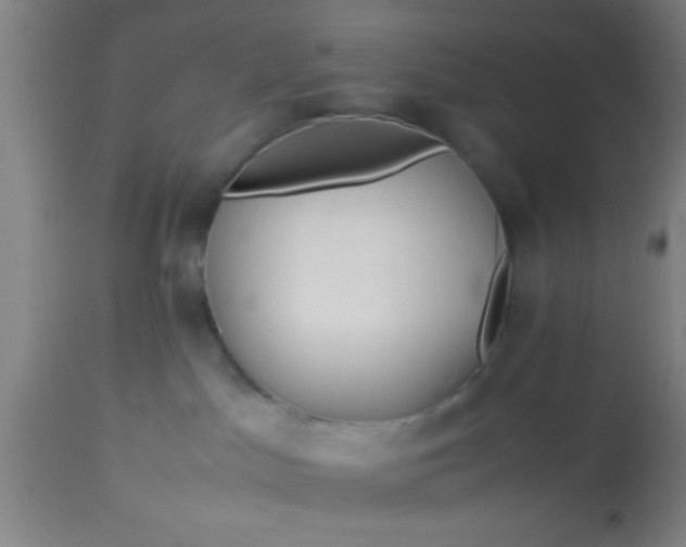 X0000114170045200910221701