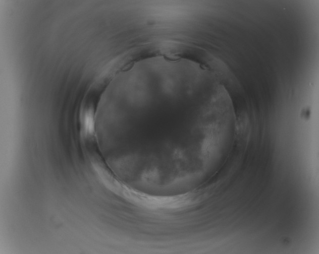 X0000114170046200910221701