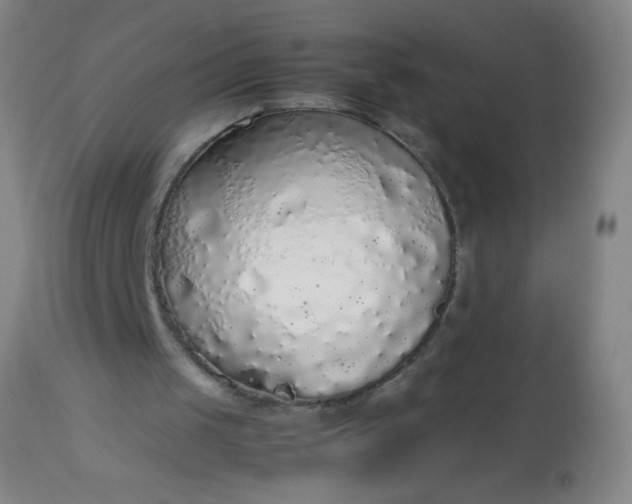 X0000114170049200910221700